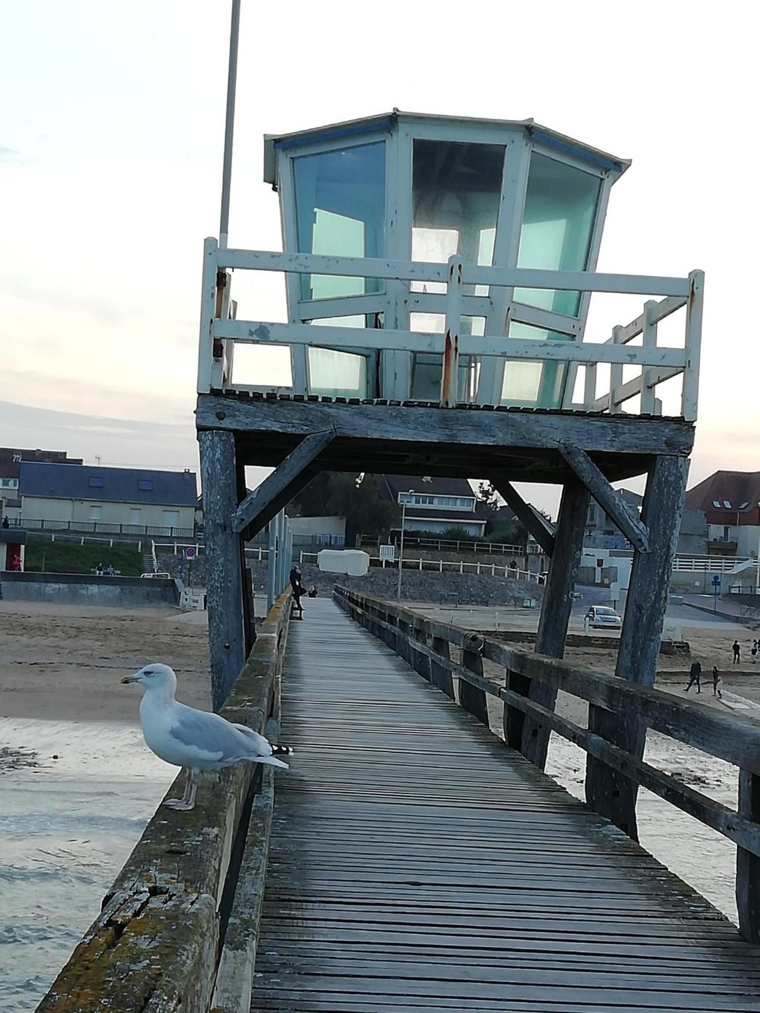 A 50 M De La Mer, Ideal Famille Langrune-sur-Mer